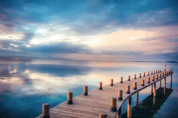 靳的含义女生名字